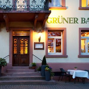 Hotel Grüner Baum Merzhausen Freiburg im Breisgau Exterior photo