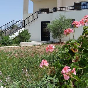 Rousan House Umm Qays Exterior photo