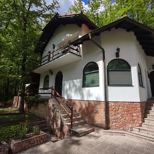 Villa Kuca Za Odmor Lisine Despotovac Exterior photo