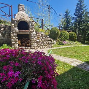 Villa Chalet Mila Mavrovo-Nationalpark Exterior photo