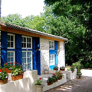 Villa Le Clos Sainte Marie - Lampy Cenne-Monesties Exterior photo