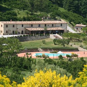 Villa Agriturismo Il Daino San Piero Patti Exterior photo