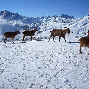 Bed and Breakfast Chambre D'Hotes Kiki & Coco Saint-Jean-de-Maurienne Exterior photo