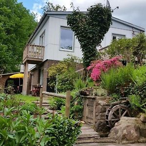 Ferienwohnung In Zendscheid Mit Offenem Kamin Exterior photo