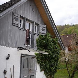 Villa Wallys Huesli Im Schwarzwald Ühlingen-Birkendorf Exterior photo