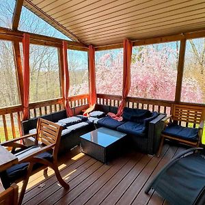 Woodland Whimsy A Private Escape, Hot Tub, Pool, Sunroom Saugerties Exterior photo