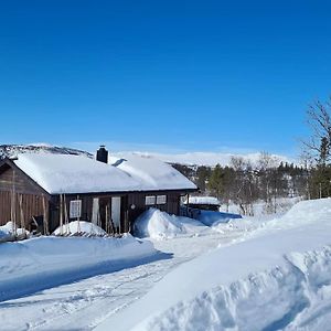 Villa Hytte I Naturskjonne Javnlie Skammestein Exterior photo