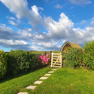 Bwthyn Plas Hafod Cottage Llanllyfni Exterior photo