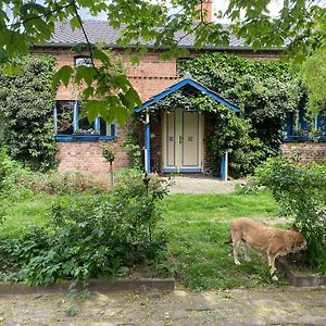 Villa Ferienhaus Im Spreewald Markische Heide Exterior photo