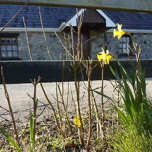 The Hill Cottage Galway Exterior photo