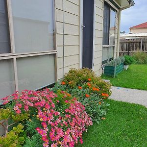 Villa Beach Garden Getaway Cheltenham Exterior photo