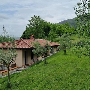 Ferienwohnung Zelkonn House Branik Exterior photo