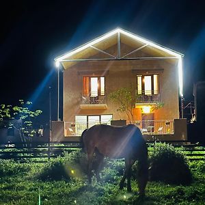 Apartment Nikolo Kazbegi Exterior photo