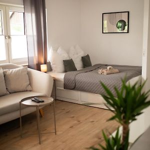 Hugos Studio Apartment Wiesloch Exterior photo