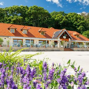 Hotel Lepke Apartmanhaz Es Etterem Tihany Exterior photo