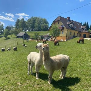 Ferienwohnung Biohof Kroisleitner Sankt Jakob im Walde Exterior photo