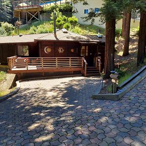 Villa Redwood Retreat Walk To Downtown Mt Tam Muir Woods Mill Valley Exterior photo