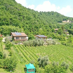 Villa Agriturismo Ca Del Manenti San Paolo d'Argon Exterior photo