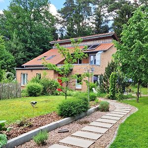 Wohnung Adlerhorst In Eversen-Heide Exterior photo