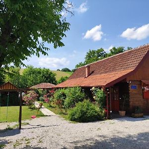 Apartments And Rooms With A Swimming Pool Krapina, Zagorje - 20524 Exterior photo