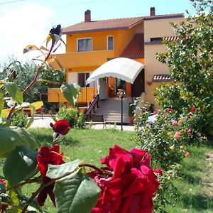 Hotel La Farfalla Fossacesia Exterior photo