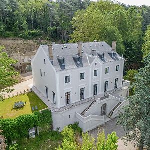 3 - Grand Appartement Dans Chateau & Domaine Prive A 15Min De Lyon Vourles Exterior photo