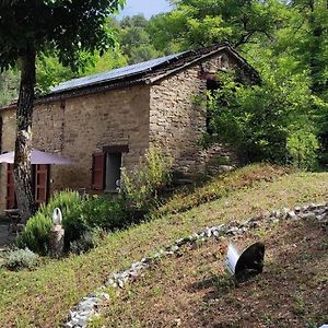 Ferienwohnung Porcaticcio, Ferienhaus Im Wald Mit Pool Casola Valsenio Exterior photo