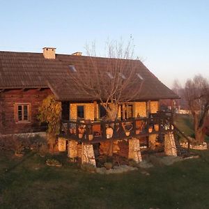 Villa Ferienhaus In Cisowa Mit Offener Terrasse Exterior photo