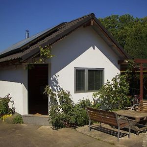 Villa Saunahaus Mit Swimmingpool In Berlin Exterior photo