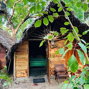 Bed and Breakfast Kite House Cafe Kalpitiya Exterior photo