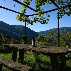 Ferienwohnung Wild Valley Garden Paradise In Valle Onsernone Auressio Exterior photo