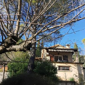 Villa Le Mazet Des Oliviers, Vue Panoramique Saint-Hippolyte-du-Fort Exterior photo