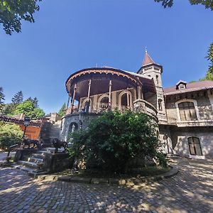 Hotel Castelul Stirbey Sinaia Exterior photo