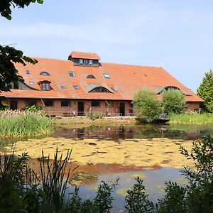 Cozy Apartment in Buschenhagen with Sauna Exterior photo