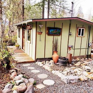 Villa Mt Rainier Little Green Cabin On Big Creek! Ashford Exterior photo