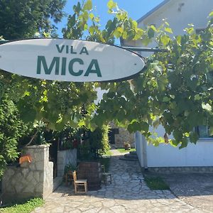 Ferienwohnung Vila Mica Banja Vrujci Gunjica Exterior photo