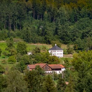 Villa Trattnachtaler Weinhaus Schlusslberg Exterior photo