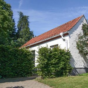 Villa Ferienhaus Im Mueritz-Nationalpark In Mirow Exterior photo