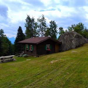 Ferienwohnung Chalet Al Sasso Da Pino, Telve Ospitar Exterior photo