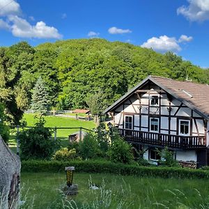 Ferienwohnung Holla Die Waldfee Konigerode Exterior photo