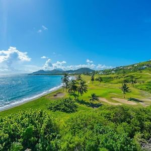 Villa In Atlantic View Basseterre Exterior photo