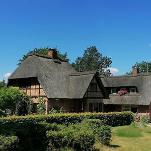 Villa Reetgedecktes Ferienhaus Am Strandweg In Luetjensee Lutjensee Exterior photo