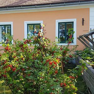 Ferienwohnung Beerengarten Lichtenberg Exterior photo