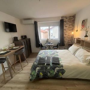 Ferienwohnung Bach Studio Balneo Au Calme Parking Gratuit Chasse-sur-Rhône Exterior photo