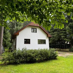 Ferienwohnung U Ledniho Medveda Týn nad Vltavou Exterior photo