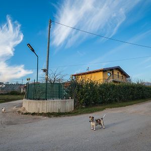 Bed and Breakfast Roberta House Isernia Exterior photo