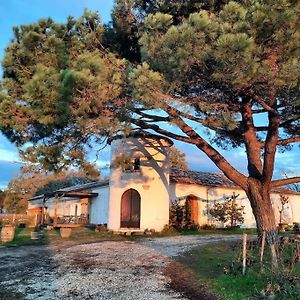 Villa Le Castel De Lamothe Sauternes Exterior photo