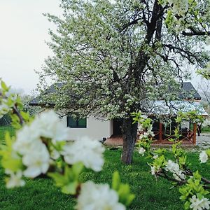 Villa Kesta Za Gosti Sofash Stoevtsi Exterior photo