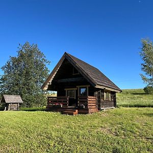 Villa Lakeside Cabin With Saunas, Hot-Tub Options Antsla Exterior photo