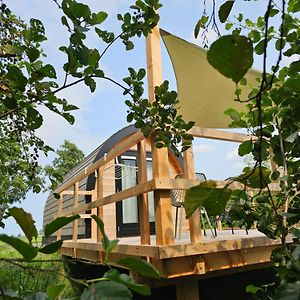 Hotel Tiny House De Skierroek Westergeest Exterior photo